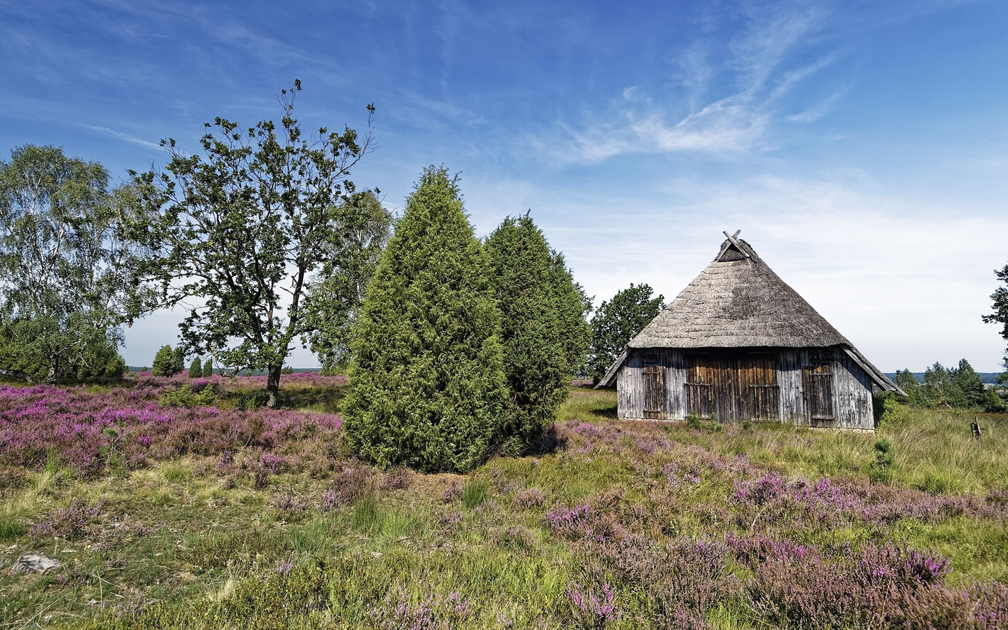 Kastanienhof - Lüneburger Heide